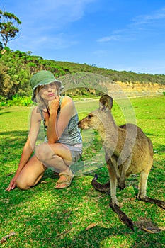 Kangaroo at Pebbly Beach