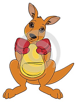 Kangaroo ready to fight