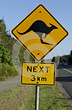 Kangaroo road sign