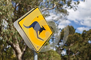 Kangaroo road sign