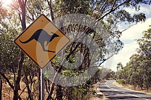 Kangaroo road sign in Victoria, Australia