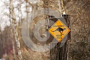 Kangaroo sign