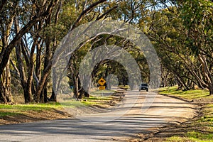 Kangaroo sign along the country road at Onkaparinga River National Park