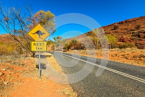 Kangaroo sign in Red Centre Australia