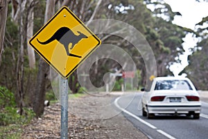 Kangaroo sign on a road