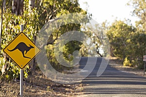 Kangaroo signal on the rural road Perth Australia nice