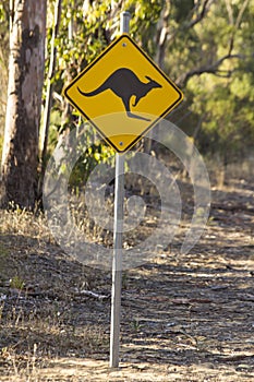 Kangaroo signal on the rural road Perth Australia nice