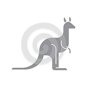 kangaroo. Vector illustration decorative design