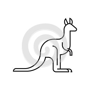 kangaroo. Vector illustration decorative design