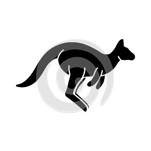 kangaroo. Vector illustration decorative design
