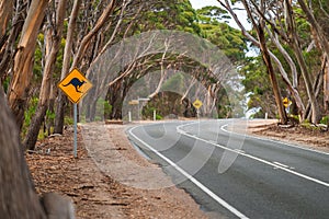 Kangaroo warning sign by the country road