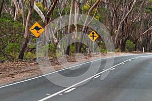 Kangaroo warning sign by the country road