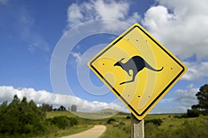 Kangaroo wild animal warning on road sign icon