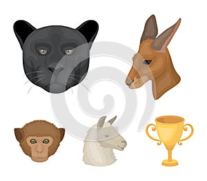 Kangaroos, llama, monkey, panther, Realistic animals set collection icons in cartoon style vector symbol stock