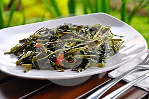 Kangkung photo