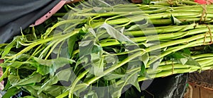 Kangkung plant from traditional market photo