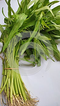 Kangkung is a vegetable that is most liked by Asians, especially Indonesians, and is widely sold in markets?