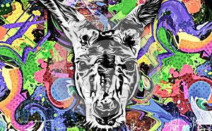 Abstract creative illustration Kangoo head with creative abstract element on white background photo