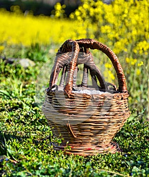 Kangri The Traditional Firepot Of Kashmir