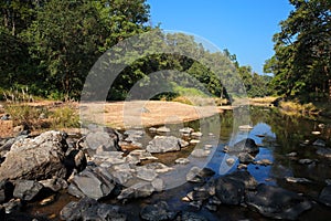 Kanha National Park - India