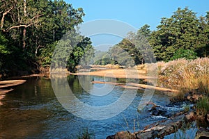 Kanha National Park - India