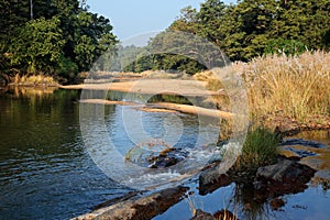 Kanha National Park - India