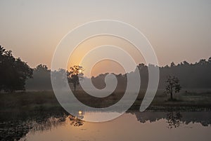 The Kanha Sunset