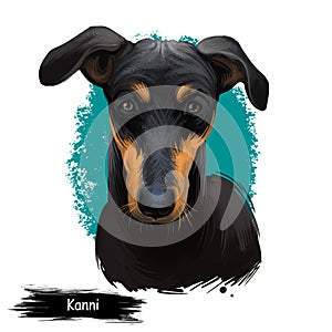 Kanni, Maiden`s Beastmaster, Chippiparai dog digital art illustration isolated on white background. South India origin scenthound