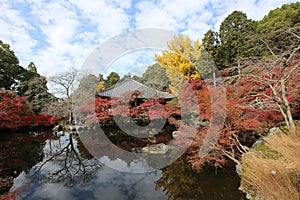 Kannon-do, Benten-ike Pond and autumn leaves in Daigoji Temple, Kyoto, Japan