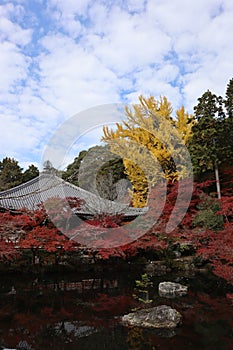Kannon-do, Benten-ike Pond and autumn leaves in Daigoji Temple, Kyoto, Japan