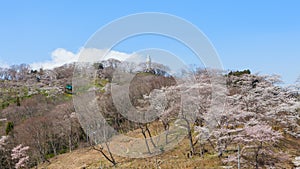 The Kannon statue and Funaoka castle ruin park, Miyagi, Japan.