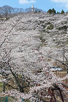 The Kannon statue and Funaoka castle ruin park, Miyagi, Japan.