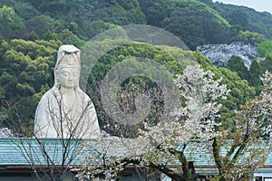 Kannon statue in Kyoto, Japan