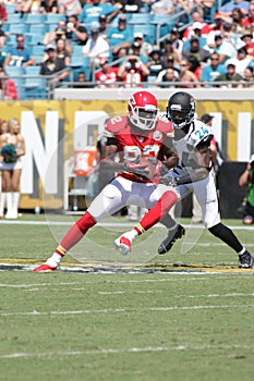 Dwayne Bowe