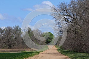 Kansas Country dirt road with blue sky and green grass.