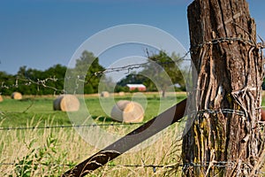 Kansas Fence