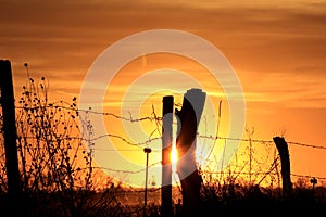 Kansas orange and yellow sky at sunset with a fence silhouette that`s bright and colorful.