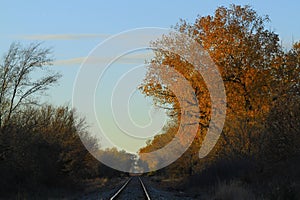 Kansas railroad tracks at sunset in the fall with trees