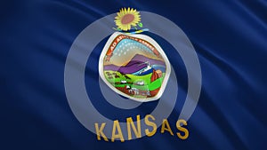 Kansas - Waving Flag Video Background
