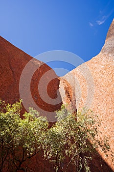 Kantju Gorge at Uluru