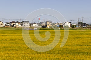 kanuma shi, is one of beautiful village near Tochigi, Japan