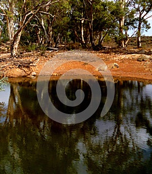 Kanyaka Waterhole