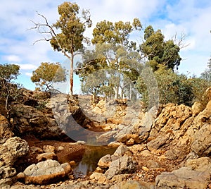 Kanyaka Waterhole, Flinders Ranges Australia