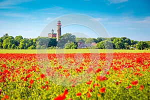Kap Arkona lighthouse with red poppy flowers in summer, RÃ¼gen, Ostsee, Germany