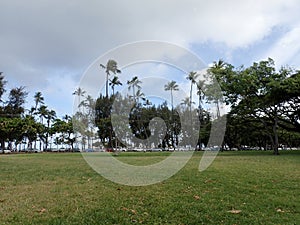 Kapiolani Park at during day with ocean and clouds in the distance