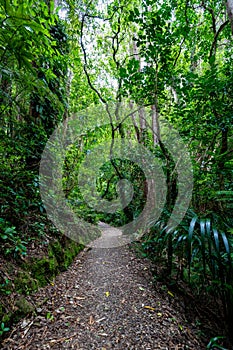 Kapiti Island Nature Walk