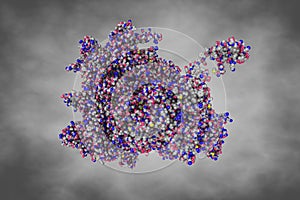 Kaposi's sarcoma-associated herpesvirus, C5 portal vertex structure. Space-filling molecular model. 3d illustration