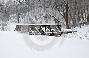 Kaposia Park Snow Covered Bridge