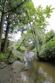 Kappabuchi pool in Tono photo