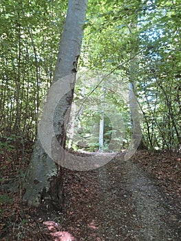 The Kapuzinerberg in the town of Salzburg in Austria